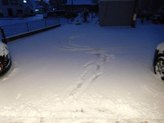 DSCN0377
