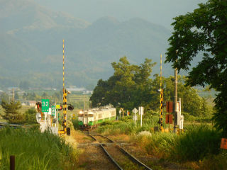 DSCN7781