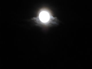 DSCN3997