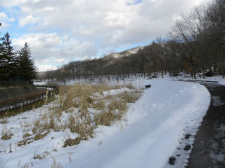 DSCN0523