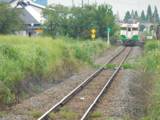 DSCN8805