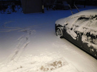DSCN0376