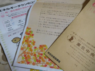DSCN7811
