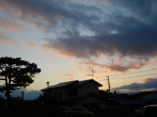 DSCN7622