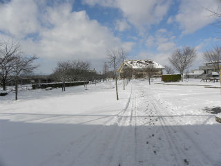 DSCN0489