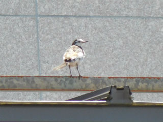 DSCN8032