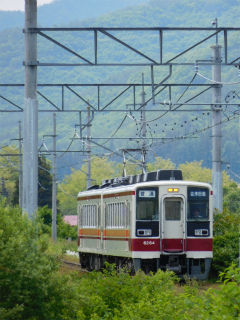 DSCN1534
