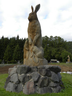 DSCN0238