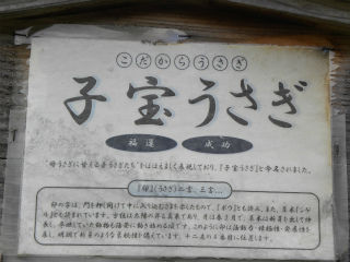 DSCN0239
