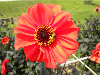 DSCN8706