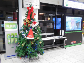 DSCN8995