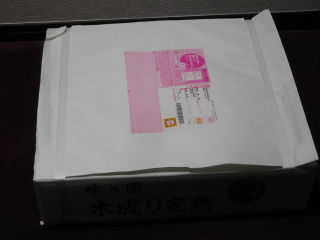 DSCN8975