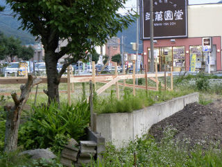 DSCN8642