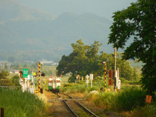 DSCN7782