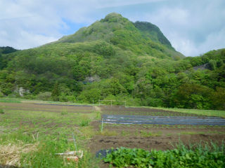 DSCN0787
