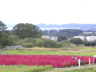 DSCN0246