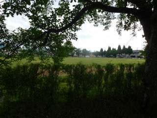 DSCN8149