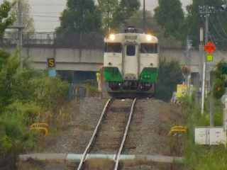 DSCN8804