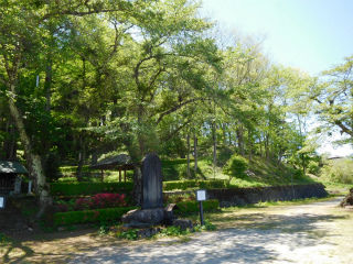 DSCN0920