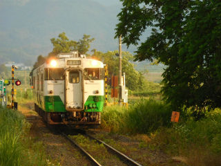 DSCN7786
