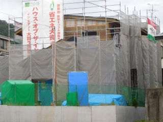 DSCN7709