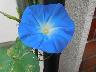 DSCN8176