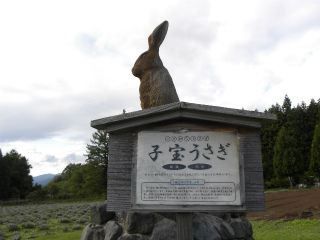 DSCN0237