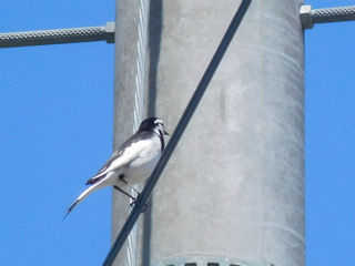 DSCN0925