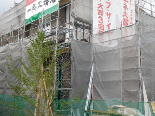 DSCN8284