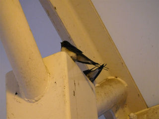 DSCN0125