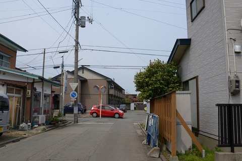 DSC_1984