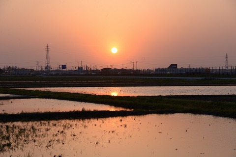 DSC_1912