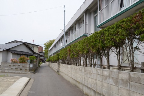 DSC_1998