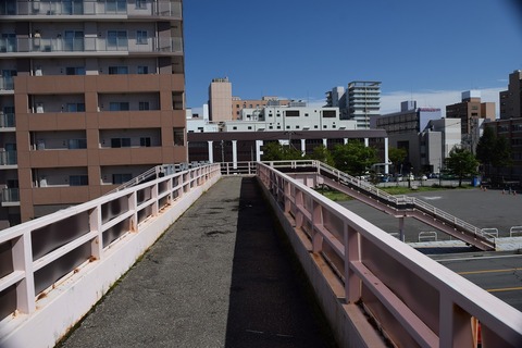 DSC_0330
