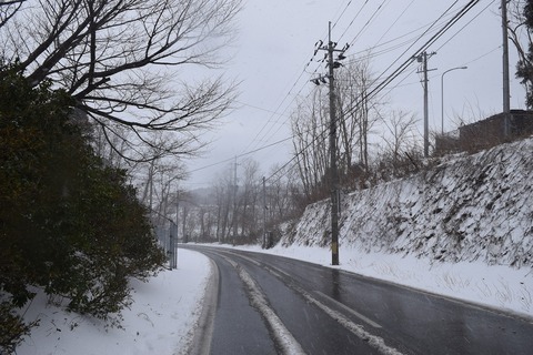 DSC_0052