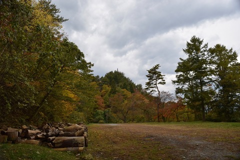 DSC_0254