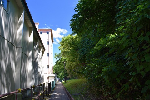 DSC_0030