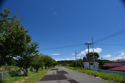 DSC_0069