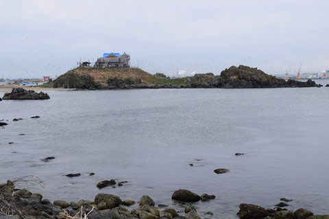 DSC_0349