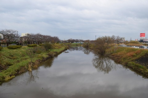 DSC_0017
