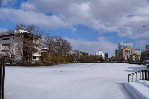 DSC_0011