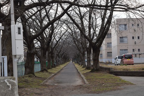 DSC_0023