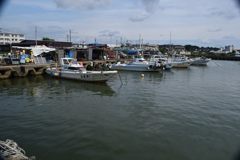 DSC_0099