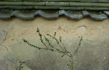 DSC01214
