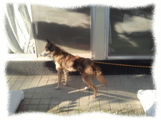2_20111022220144.gif