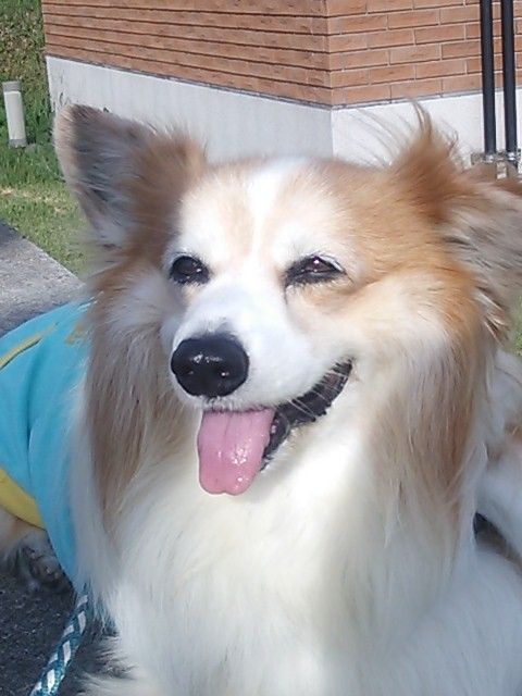 imagereon1