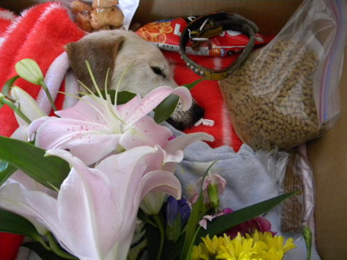 111_20120726202014.jpg