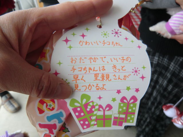 1349987062_89.jpg