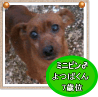 boo4.gif
