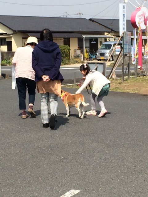 1409292264_231.jpg